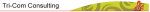 Tri-Com Consulting