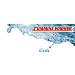 Cummins-Wagner Co Inc